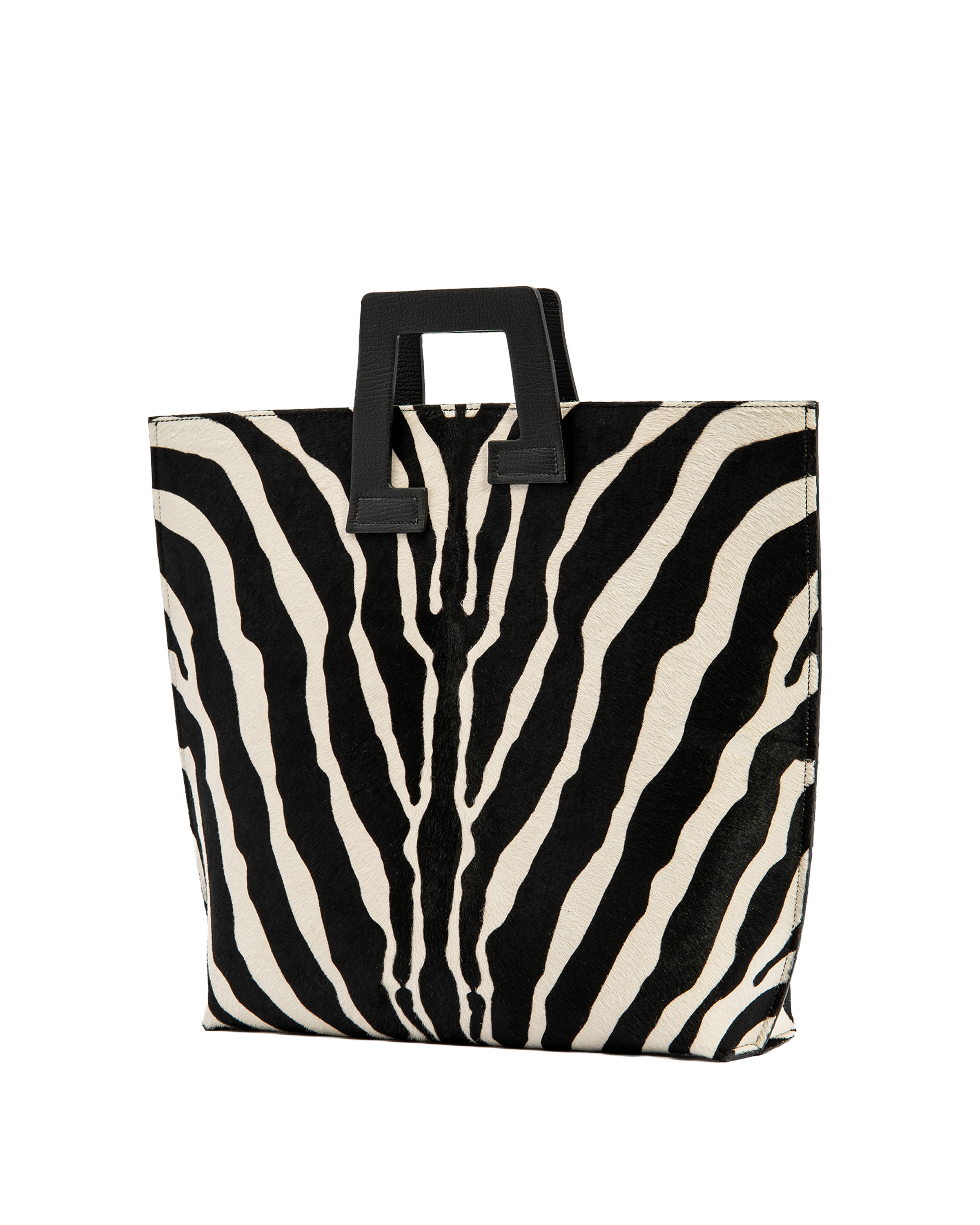 Axis - Zebra