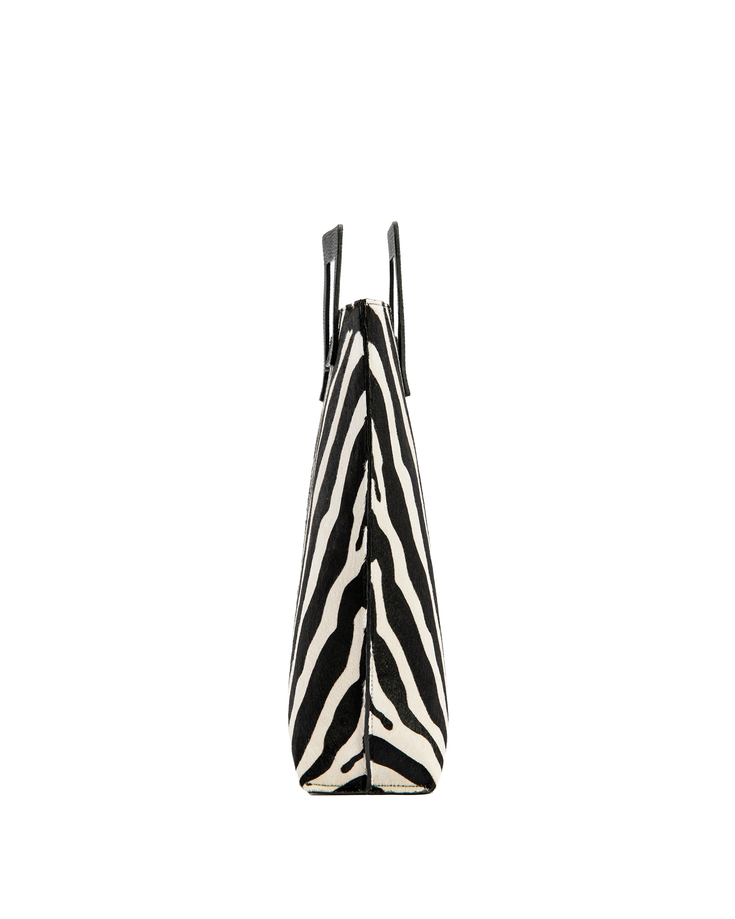Axis - Zebra