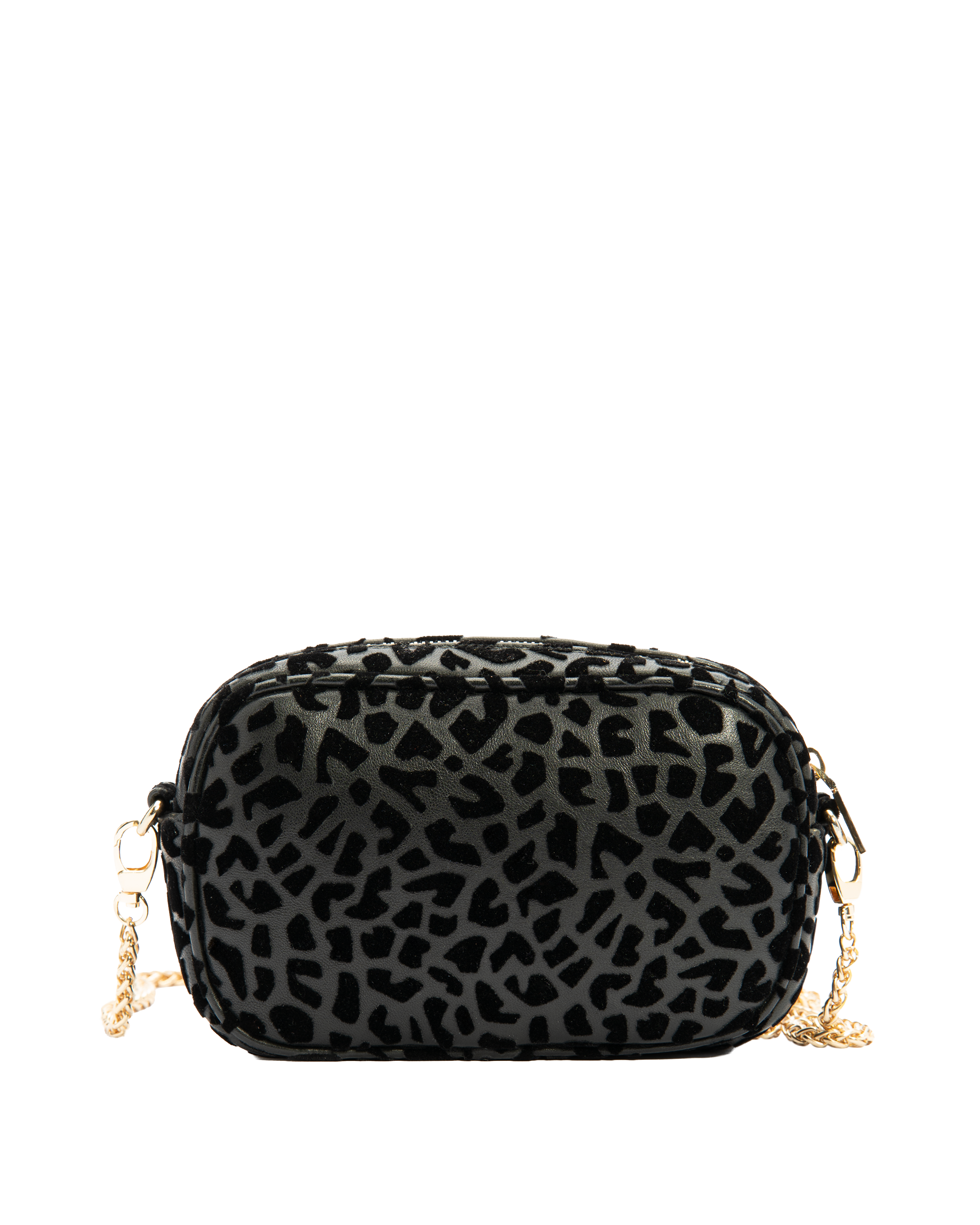 Dragonfly Chic - Safari Black