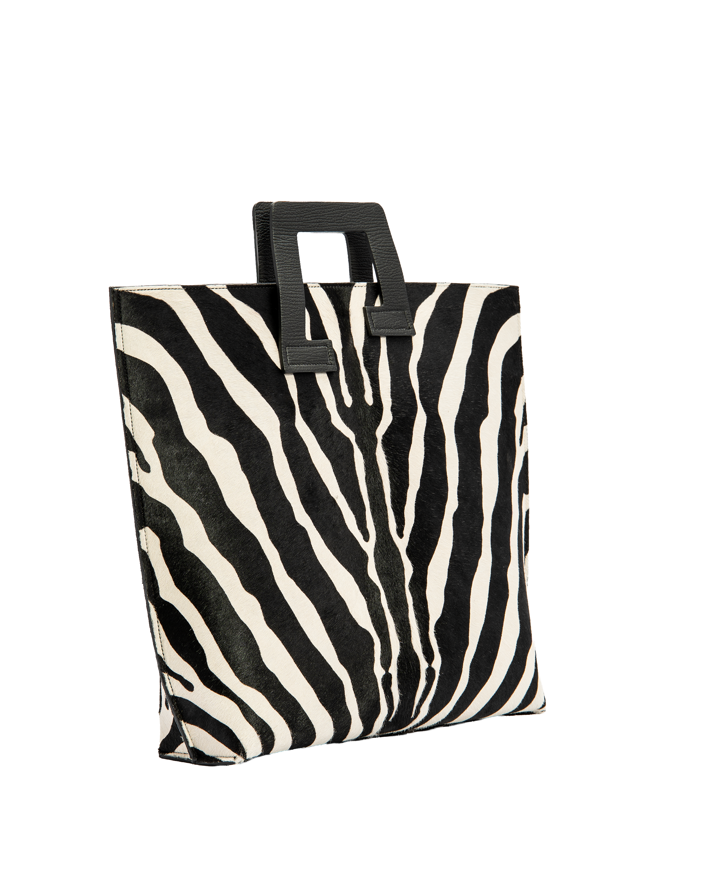 Axis - Zebra