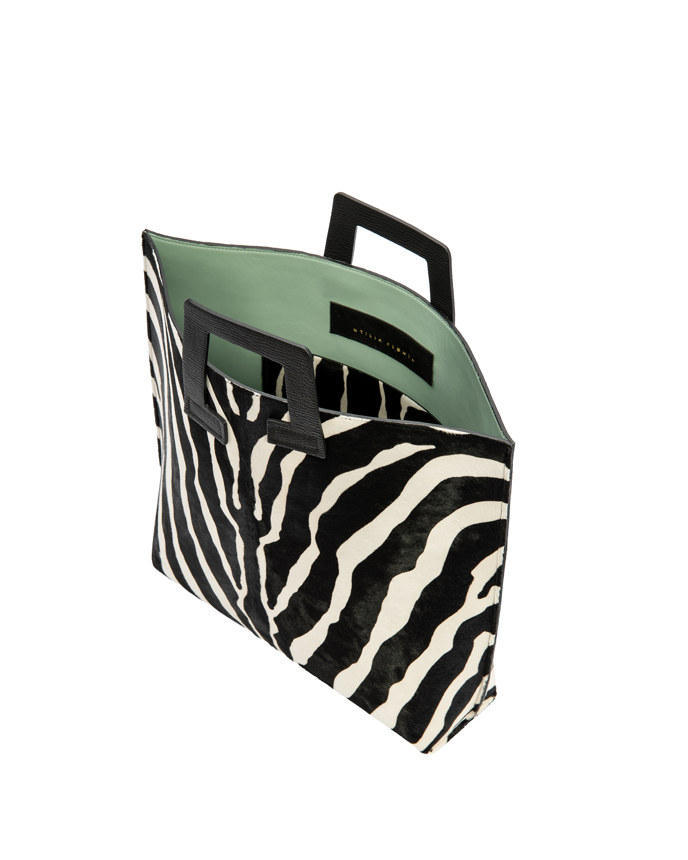 Axis - Zebra