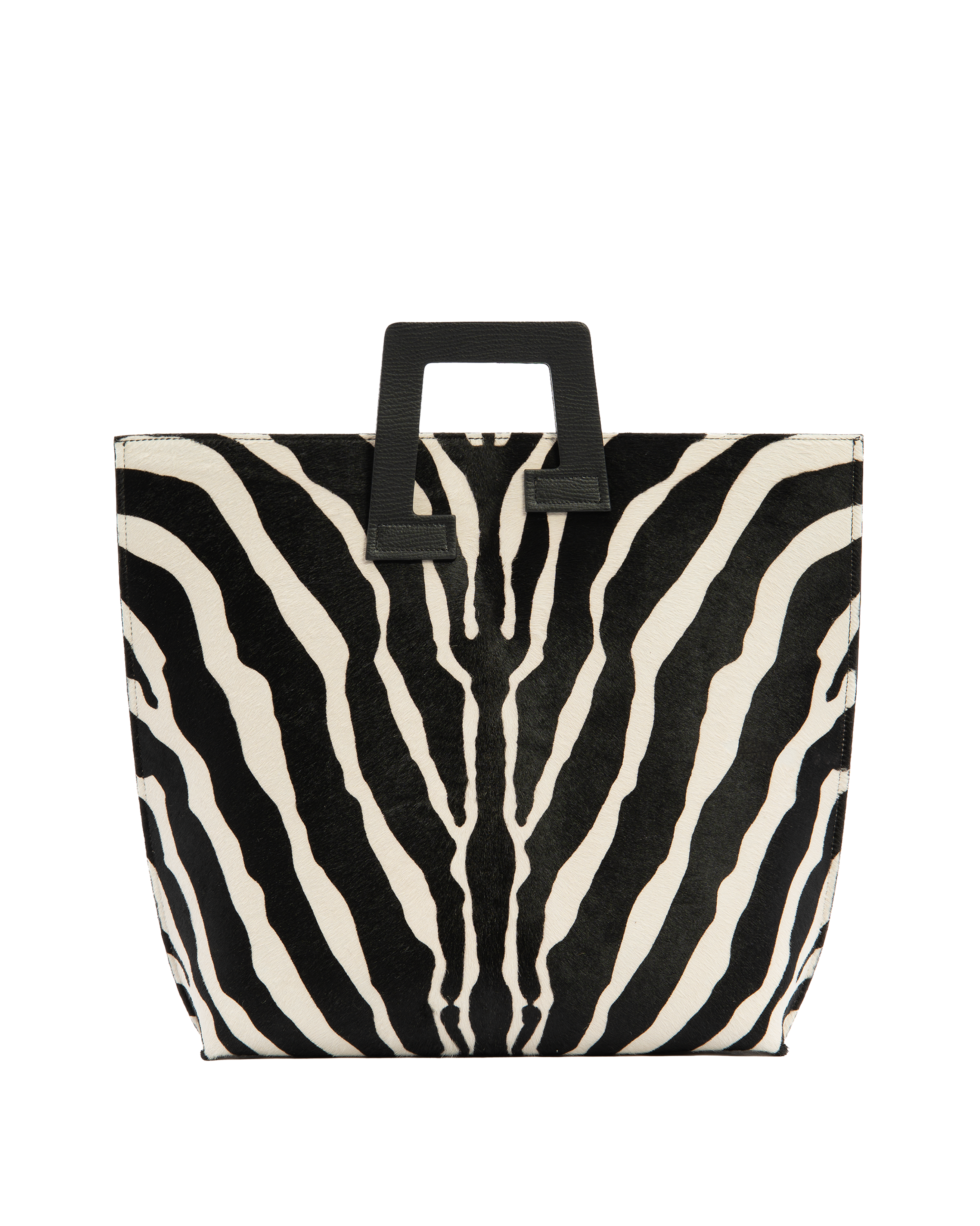 Axis - Zebra