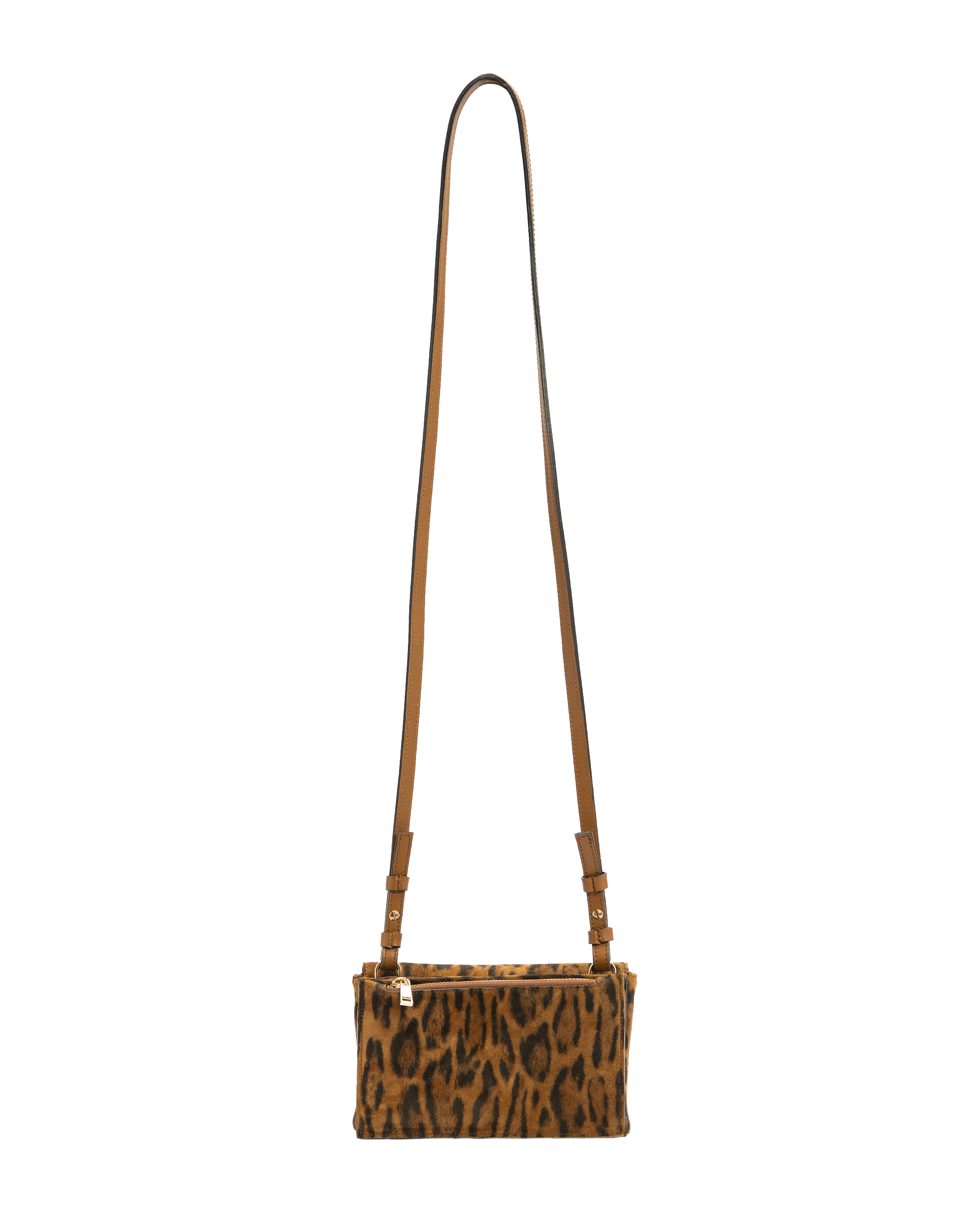 Clea - Safari